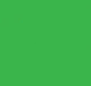 Buy emerald-green ThermoFlex Plus 15" by the Yard