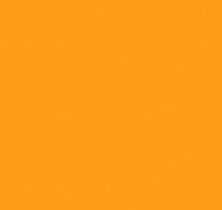 Buy neon-deep-orange ThermoFlex Plus 15" by the Yard